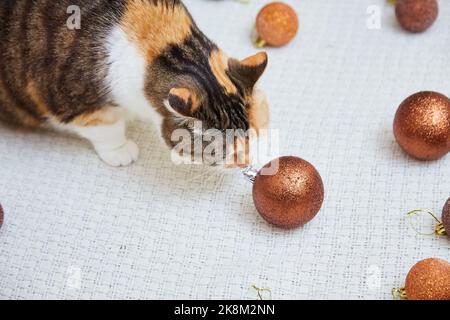 Fluffy xmas cat playing with Christmas toys and balls on white fur mat Stock Photo