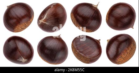 Chestnuts isolated on white background Stock Photo