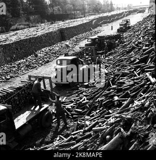 Oslo August 1945. The attachment at Filipstad. Preparations for the first winter of peace. Trucks with firewood. Photo Current / NTB Stock Photo