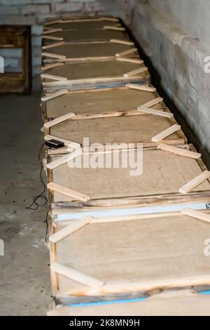 Hives in winter apiary house. Apiary wintering in heat. Insulation from non-woven cloth on roof of hives Stock Photo