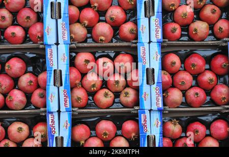 Copenhagen/Denmark/.24 October 2022/Grocery shoppers at .Fruit and  vegetable vendor at torvhallerne in danish capital openhagen ( .Photo..Francis Joseph Dean/Dean Pictures) Stock Photo