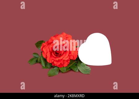Red rose and white heart on red background, place for text. Valentines Day, Birthday, Greeting Card. Stock Photo