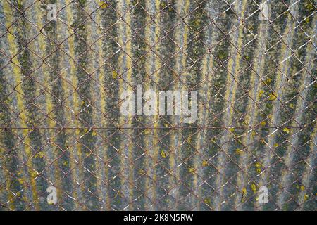 Metal wire mesh fence with plastic in front Stock Photo