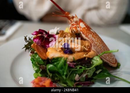 Closeup cutting roasted salmon steak and lobster with shrimps on a white plate Stock Photo