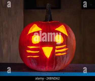 A Jack-o'-lantern with face of a cat  glows with candle light at night. Stock Photo