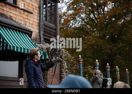 Wingmasters: The World of Owls demonstration Stock Photo