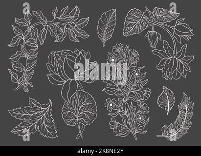 Collection vintage floral motif. William Moriss style art and craft movement. Design outline flower symbol. Stock Vector