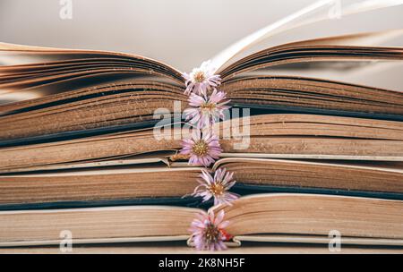 Open old books stacked, close-up on blurred background. Stock Photo
