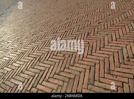 Ancient Tuscan terracotta floor. Beautiful and rich pavement of Piazza del Campo. Stock Photo