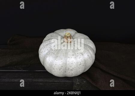 grey skin 'Crown prince' pumpkin with black background Stock Photo