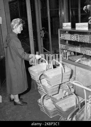 Oslo 19530918 Interior from K. Jacobsen A/S Colonial and meat. Self -service shop in Oslo. Handy chip baskets are available to the traders. Here, a woman supplies herself with a basket before entering the store. The curves are right by the chocolate counter, which has both Freia's Capri confectionery and boxes of cream tops for exhibition. Photo: NTB / NTB Stock Photo