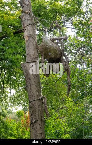spider and web made from string hanging from a tree trunk Stock Photo