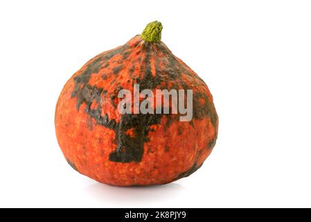 Fresh orange ornamental Pumpkin isolated on white background, clipping path Stock Photo