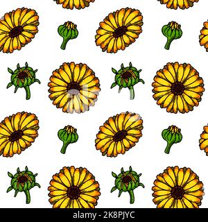 Orange Calendula flowers seamless pattern. Vector illustration Stock ...