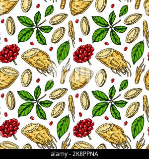 Colorful Hand drawn ginseng seamless pattern. Vector illustration in sketch style. Medicinal plant background. Botany design Stock Vector