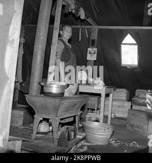 Elvebakken, Alta Sept. 1946 daily life in Northern Norway after World War II. In many places, people still live in tents while rebuilding their houses. Woman who cooks in the tent. Photo: NTB / NTB Stock Photo