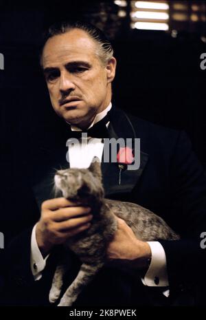 The Godfather  Marlon Brando Stock Photo