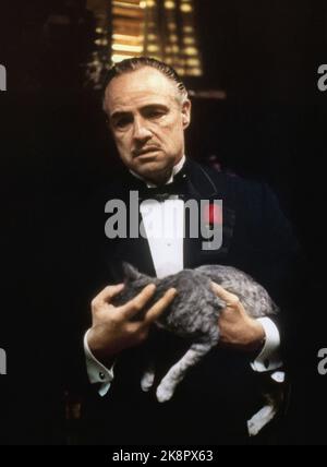 The Godfather  Marlon Brando Stock Photo