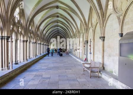 Salisbury Wiltshire, Uk, 10, October 2022 people exploring the external covered walkway of the Salisbury Cathedral Cloisters. Stock Photo