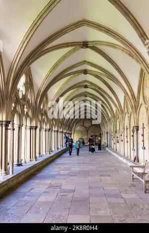 Salisbury Wiltshire, Uk, 10, October 2022 people exploring the external covered walkway of the Salisbury Cathedral Cloisters. Stock Photo