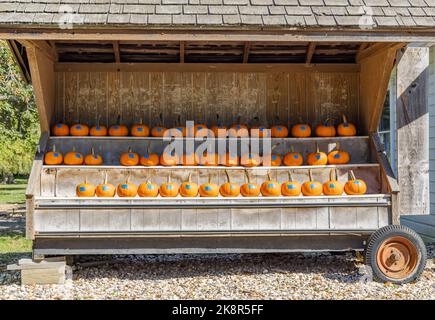 Pumpkins displayed for sale at a Shelter Island farm stand Stock Photo