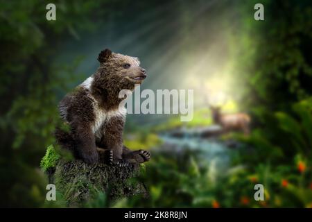 Bear cub sits on a stump in the middle of the forest against the background of a river and a deer and sun rays. Surreal concept art Stock Photo