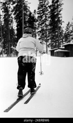 Oslo 19530211. February 11, 1953 was a great day in the country's skiing history. After a great effort by the Norwegian politicians, the Storting beat the Swedish and Finnish parliament, and together in the ski competition in cross -country skiing at Skytterkollen. Liv plots (a) have passed goals and retreat to well -deserved rest, coffee and sandwiches. Photo: Sverre A. Børretzen / Current / NTB Stock Photo