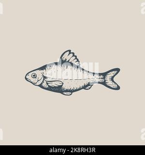 River fish vector vintage drawing. Vobla sketch Stock Vector