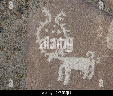 Deer carving on rock: ancient silk road petroglyph above Langar village in the Wakhan Corridor, Gorno-Badakshan, Tajikistan Pamir Stock Photo