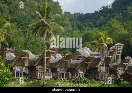 Scenic landscape view of Kete Kesu village with group of tongkonan or traditional houses, near Rantepao, Tana Toraja, South Sulawesi, Indonesia Stock Photo