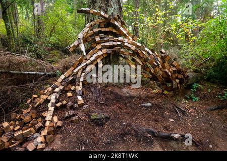 Price Sculpture Forest, Whidbey Island, Washington, USA Stock Photo
