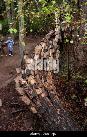 Price Sculpture Forest, Whidbey Island, Washington, USA Stock Photo