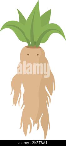 Magic mandrake icon cartoon vector. Green herb. Garden magic Stock Vector