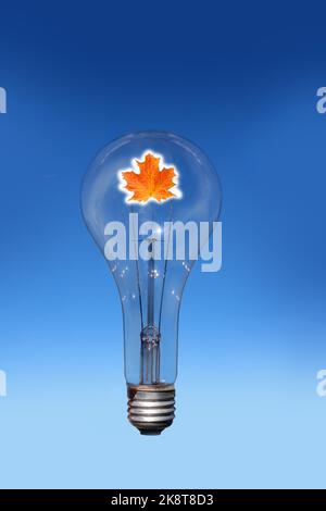 Light bulb as symbol of bright ideas Stock Photo