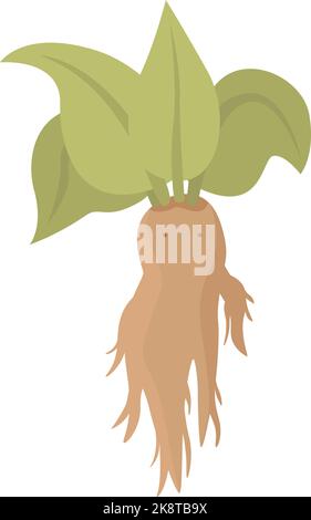 Nature mandrake icon cartoon vector. Green plant. Child garden Stock Vector