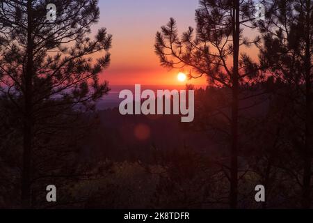 Black Hills sunset, forest in the fall, Bear Lodge Mountain, Wyoming Stock Photo