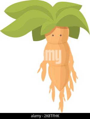 Mandrake icon cartoon vector. Alchemy leaf. Plant herb Stock Vector