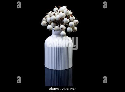 A close up shot of white berries in ice in a white vase. The porcelain vase has fluted surface. The vase with a bunch is isolated against the black ba Stock Photo