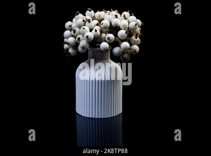 A close up shot of white berries in ice in a white vase. The porcelain vase has fluted surface. The vase with a bunch is isolated against the black ba Stock Photo