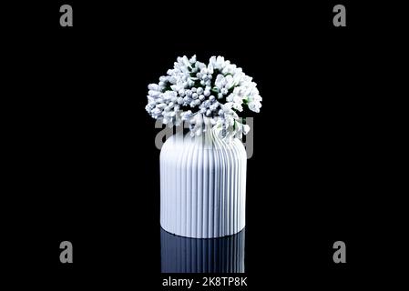 A close up shot of white flowers in ice in a white vase. The porcelain vase has fluted surface. The vase with a bunch is isolated against the black ba Stock Photo