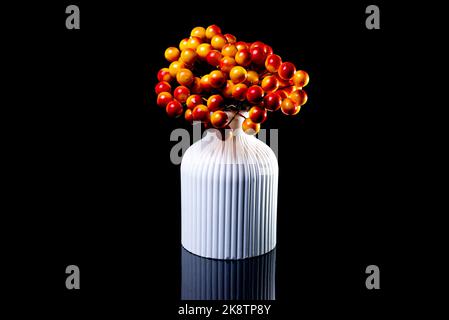 A close up shot of white flowers in ice in a white vase. The porcelain vase has fluted surface. The vase with a bunch is isolated against the black ba Stock Photo