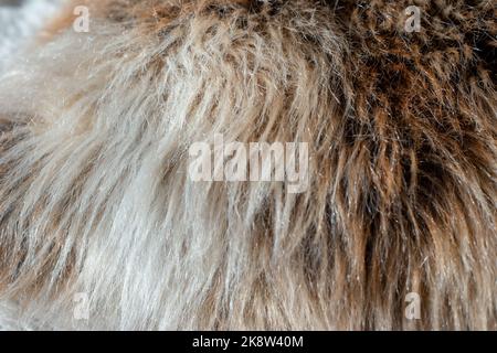 Brown faux fur with long pile, close up Stock Photo