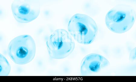 Embryonic stem cell. Human cell. 3d illustration Stock Photo - Alamy