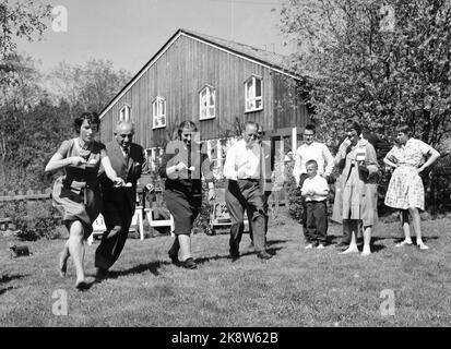 Oslo 17 May 1961. Israel's Foreign Minister Golda more visits Norway. Here at a garden company at Jens Chr. Hauge. The egg run is in full swing. From v. See; Randi Bratteli, Ambassador Barkat, Golda more, Gunnar Randers plus partially skeptical children. Photo: Aage Storløkken / Current / NTB Stock Photo