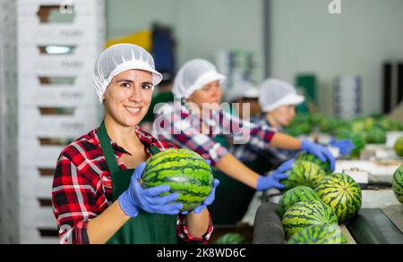 Cheerful Hispanic woman working on watermelons sorting line in fruit warehouse Stock Photo