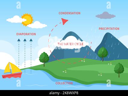 Hydrological cycle diagram hi-res stock photography and images - Alamy