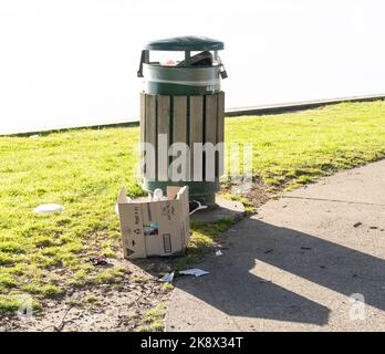 Tauranga New Zealand - October 23 2022; seagull scavenging rubbish from overflowing trash bin on waterfront. Stock Photo