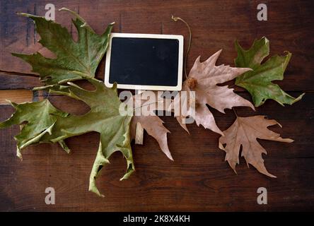 Autumn fall maple leaves, empty black label on wooden board background. Dry green and brown fallen foliage,  Copy space, top view Stock Photo