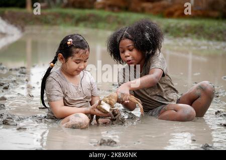 Two happy children child girl catching big frog in the large wet mud puddle on summer day. Stock Photo