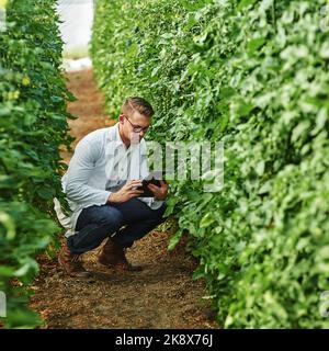 The best scientists are always researching and learning more everyday. Full length shot of a young scientist using a digital tablet while studying Stock Photo